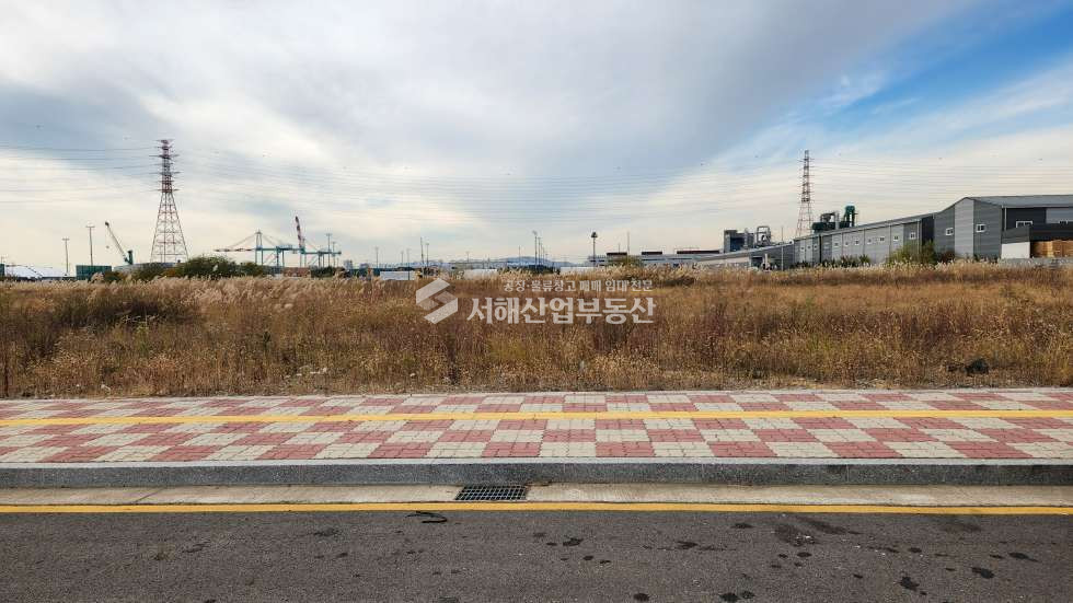 인천 서해구 원창동 북항지역 마지막 남은 토지 15,367평, 삼면도로접, 인천공항, 인천항 ,수도권 진입 원활 매매 매물번호 10353 사진 3