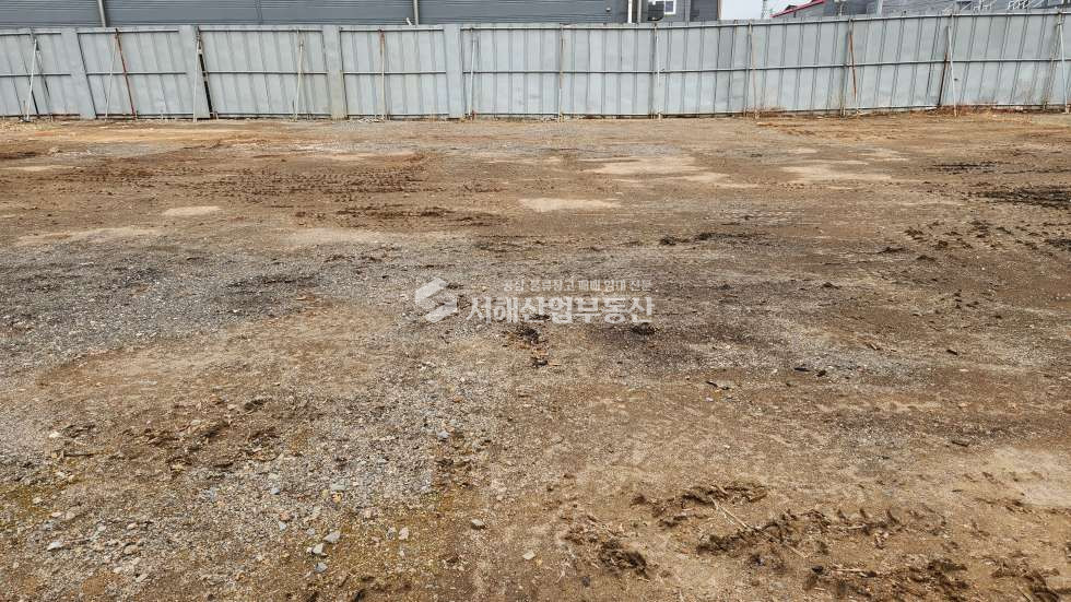인천 서해구 원창동 인천북항 나대지 507평, 바닥 잡석, 12m도로접, 즉시입주 월세 매물번호 10592 사진 2